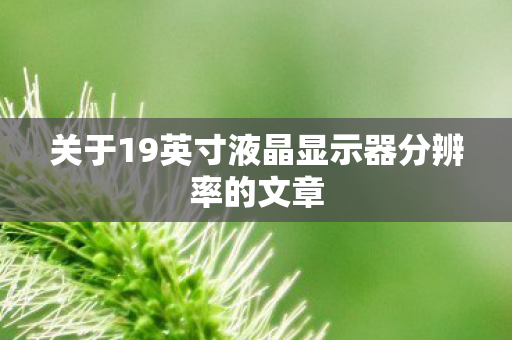 关于19英寸液晶显示器分辨率的文章图片