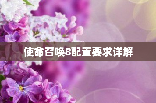 使命召唤8配置要求详解图片