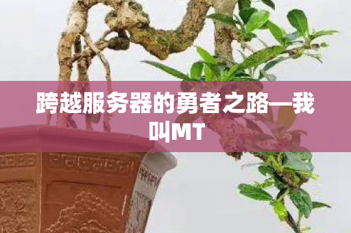 跨越服务器的勇者之路图片