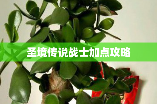 圣境传说战士加点攻略图片