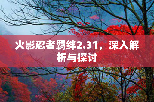 火影忍者羁绊2图片