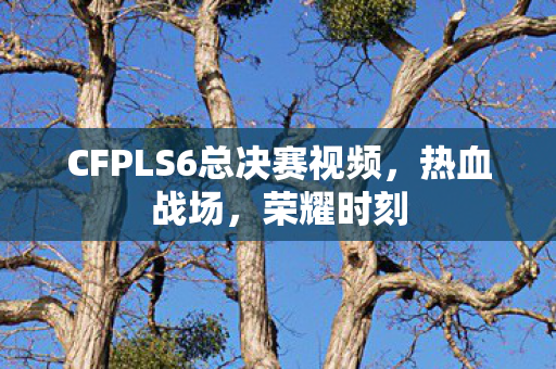 CFPLS6总决赛视频图片