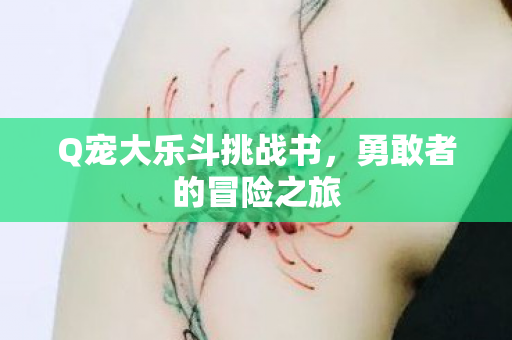 Q宠大乐斗挑战书图片