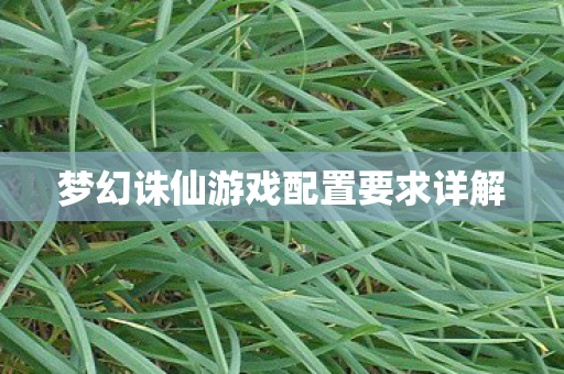 梦幻诛仙游戏配置要求详解图片