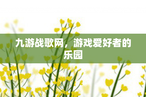 游戏爱好者的乐园图片