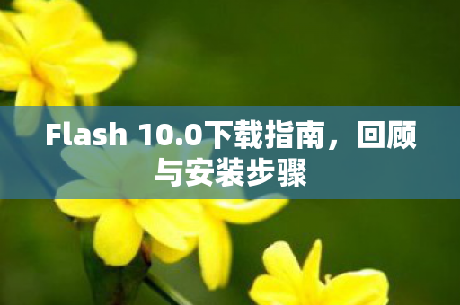 Flash 10图片