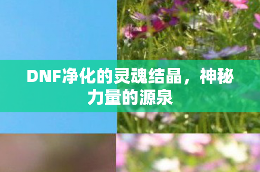 DNF净化的灵魂结晶图片