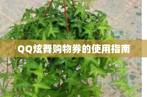QQ炫舞购物券的使用指南图片