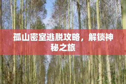 孤山密室逃脱攻略图片