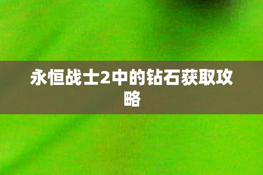 永恒战士2中的钻石获取攻略图片