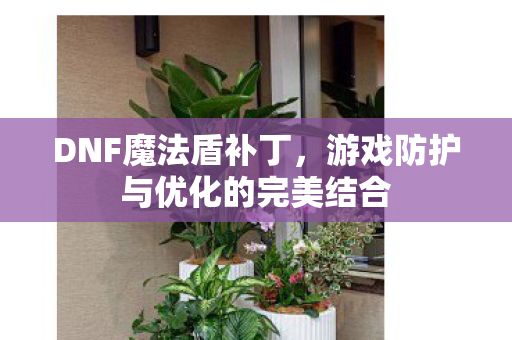 游戏防护与优化的完美结合图片
