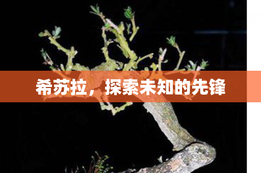 探索未知的先锋图片