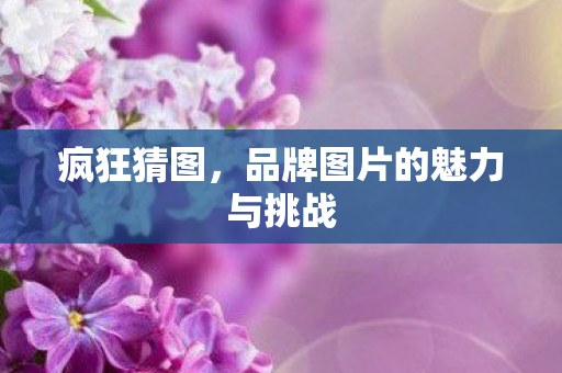 品牌图片的魅力与挑战图片
