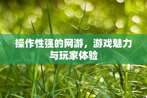 游戏魅力与玩家体验图片