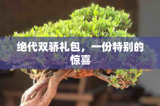 一份特别的惊喜图片