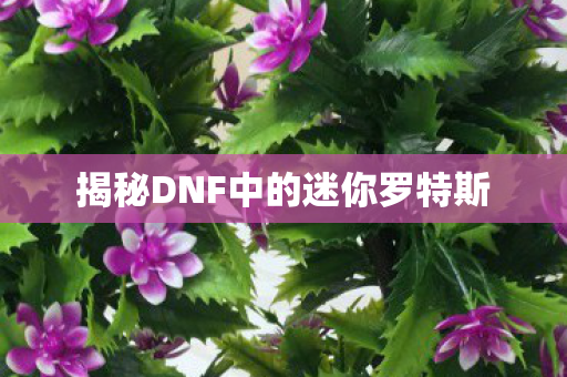 揭秘DNF中的迷你罗特斯图片