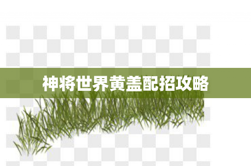 神将世界黄盖配招攻略图片