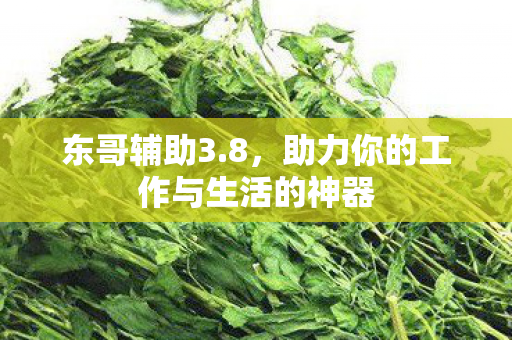 助力你的工作与生活的神器图片