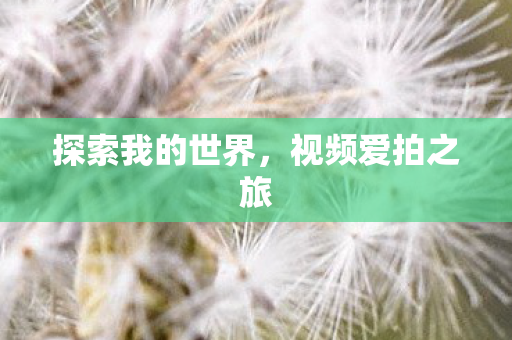 探索我的世界图片