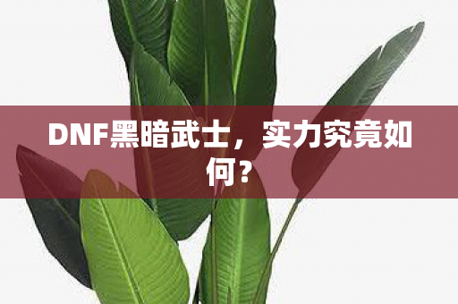 DNF黑暗武士图片
