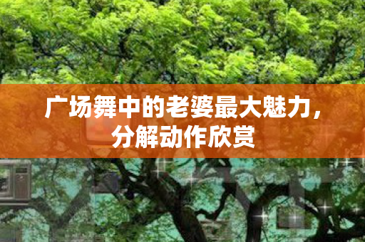 广场舞中的老婆最大魅力图片