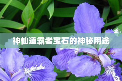 神仙道霸者宝石的神秘用途图片