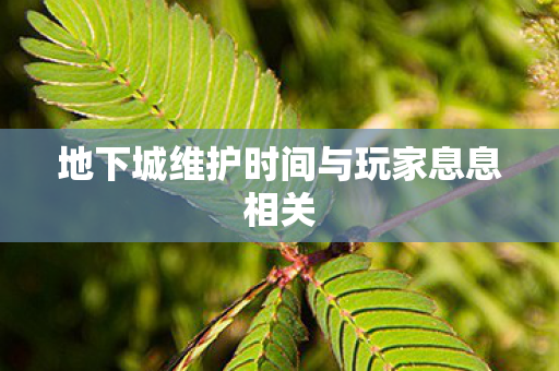 地下城维护时间与玩家息息相关图片