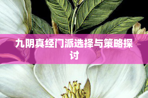 九阴真经门派选择与策略探讨图片