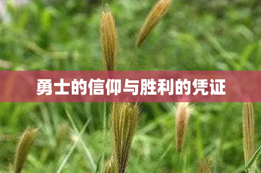 勇士的信仰与胜利的凭证图片
