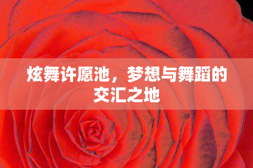 梦想与舞蹈的交汇之地图片