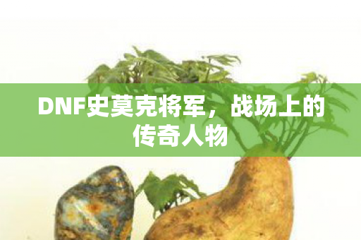 DNF史莫克将军图片