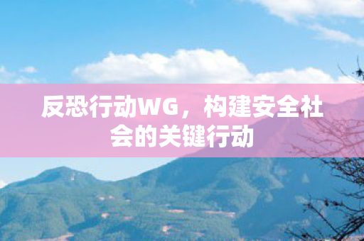 构建安全社会的关键行动图片