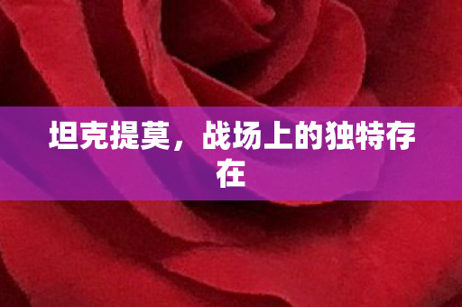 战场上的独特存在图片