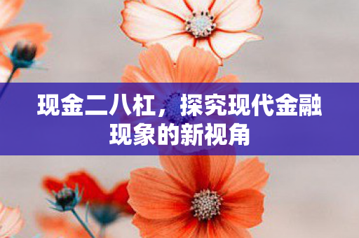探究现代金融现象的新视角图片