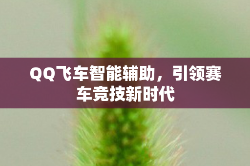 引领赛车竞技新时代图片