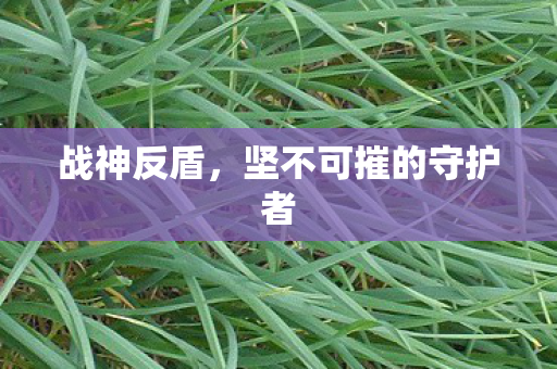 坚不可摧的守护者图片