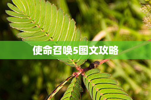 使命召唤5图文攻略图片