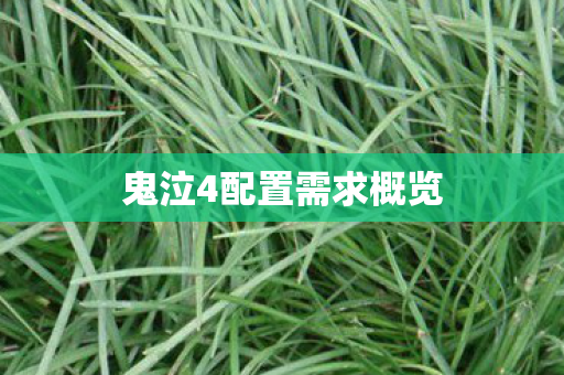 鬼泣4配置需求概览图片