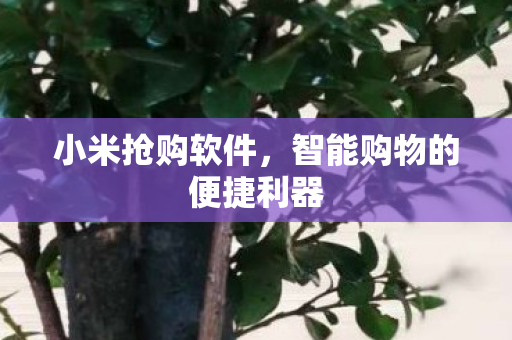 智能购物的便捷利器图片
