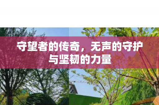 无声的守护与坚韧的力量图片