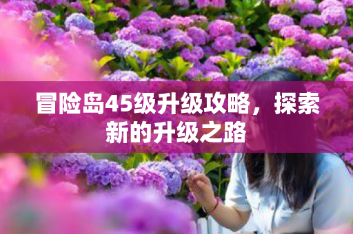 冒险岛45级升级攻略图片