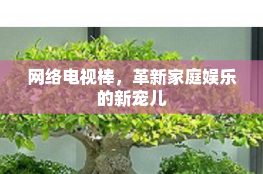 革新家庭娱乐的新宠儿图片