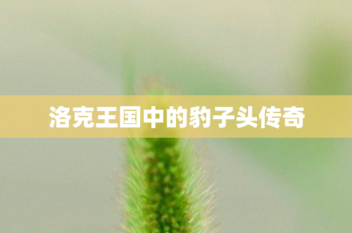 洛克王国中的豹子头传奇图片