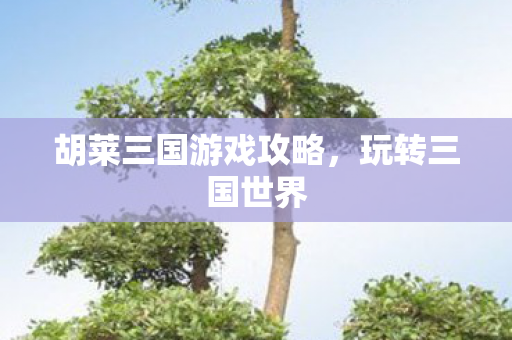 胡莱三国游戏攻略图片