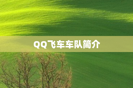 QQ飞车车队简介图片