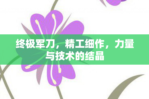 力量与技术的结晶图片