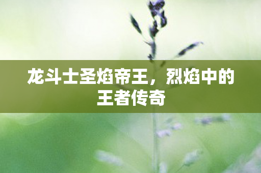 烈焰中的王者传奇图片
