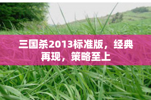 三国杀2013标准版图片