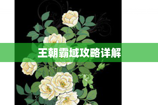 王朝霸域攻略详解图片