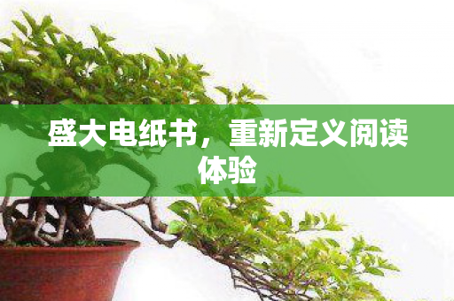 重新定义阅读体验图片